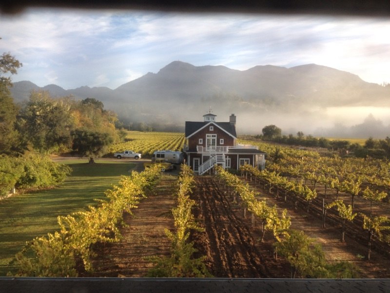 Mount Saint Helena and vineyards